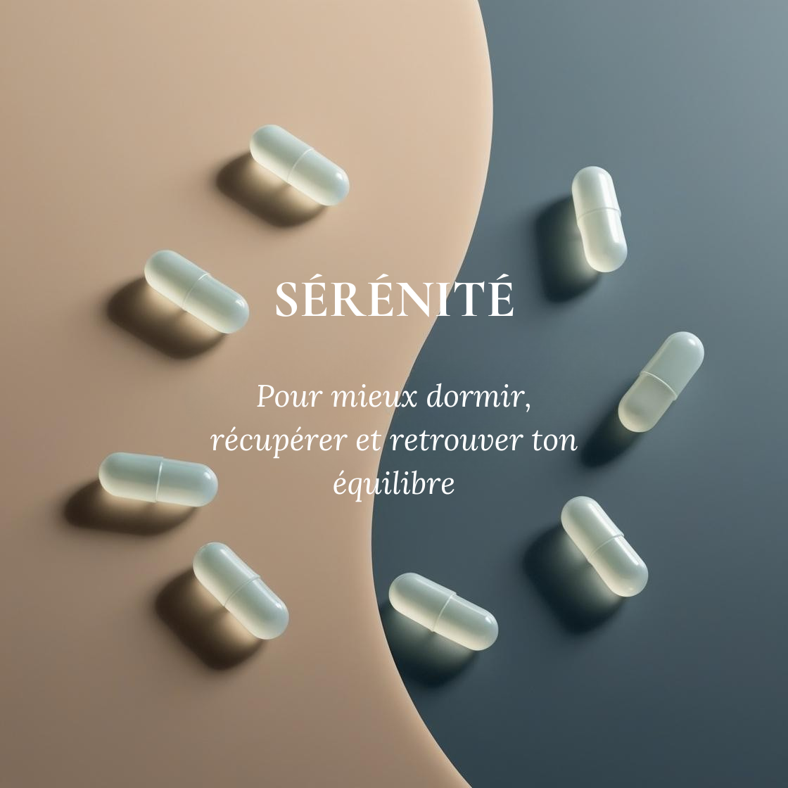 Sommeil – Reishi